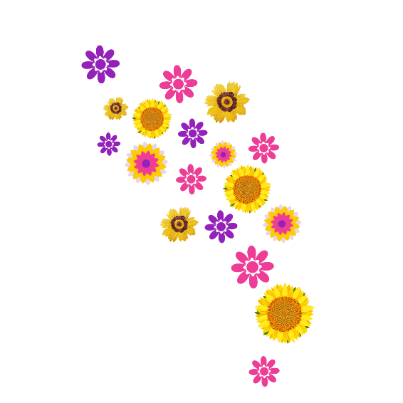 our program image